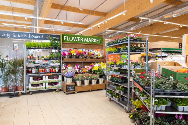 Flower aisles at Lidl